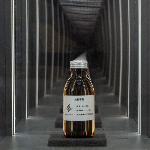 十六酸甲酯 16酸甲酯（1698甲酯）